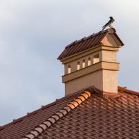 Close-up view of bird sitting on top of high plastered chimney of new big spacious modern house with shingled red roof against bright blue sky background. Professionally done construction concept.